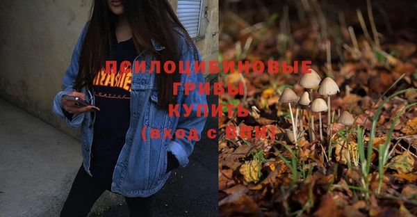 шишки Остров