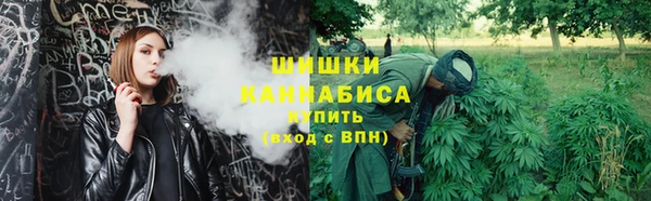 шишки Остров